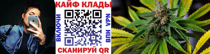 Магазины продажи наркотиков Асино ГАШИШ  Cocaine  Меф  Марихуана 