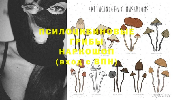 не бодяженный Алексин