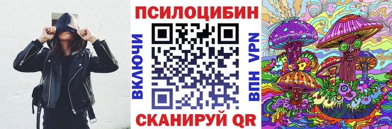 магазин продажи наркотиков  блэк спрут   Галлюциногенные грибы Psilocybe  Асино 